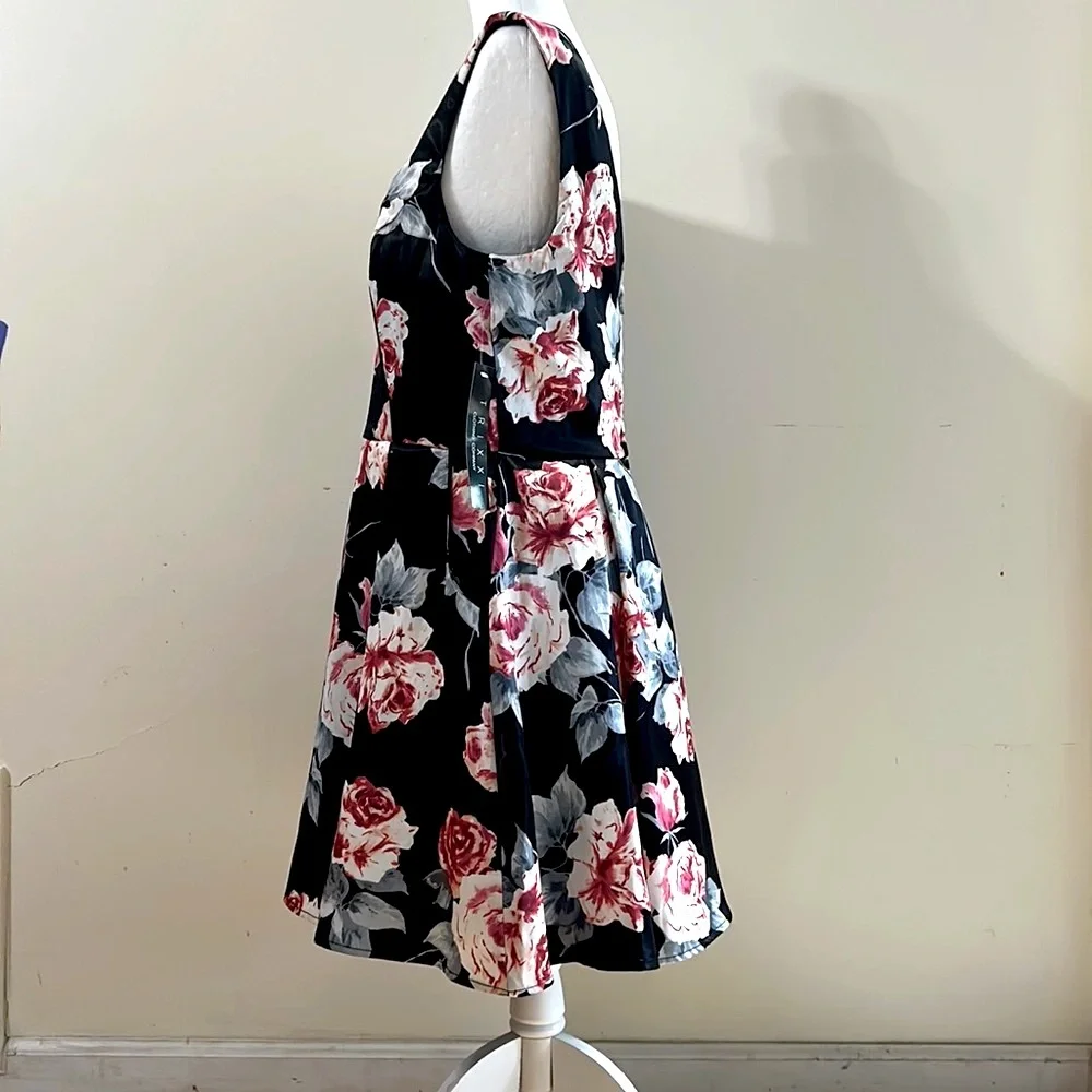 Trixxi Black Multicolor Floral Printed Pleated Dress